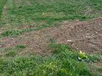 Ugrinovačka, Zemun opština, Beograd | 4zida.rs