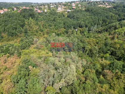Trebeška ulica | 4zida.rs