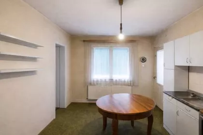 Zmaja Od Noćaja | 4zida.rs