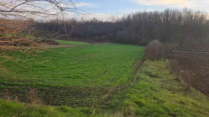 Kasapovačka | 4zida.rs