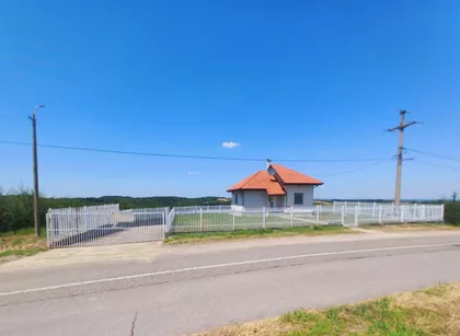 Pambukovica | 4zida.rs