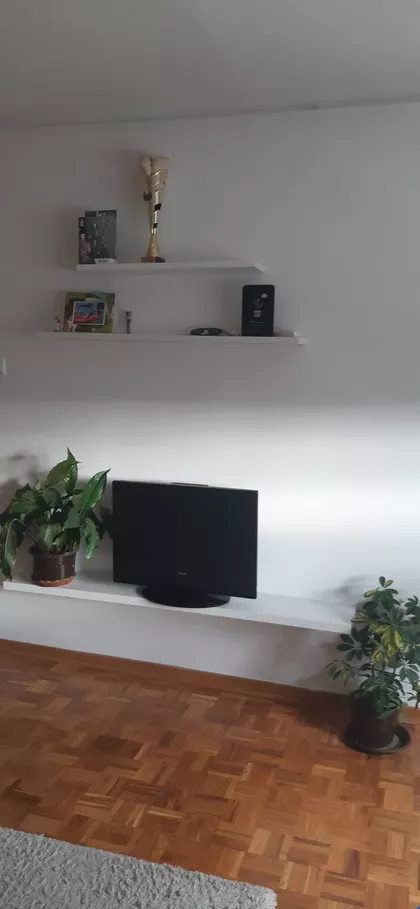 Dr Ivan Ribar | 4zida.rs