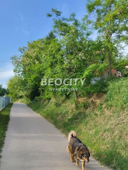 Bukovac | 4zida.rs