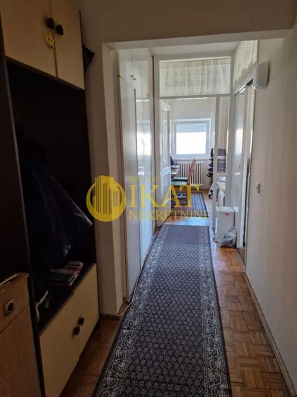 Dr Ivana Ribara | 4zida.rs