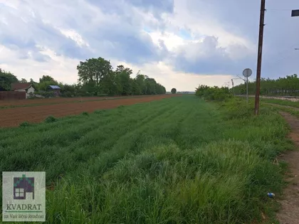 Zvečka | 4zida.rs
