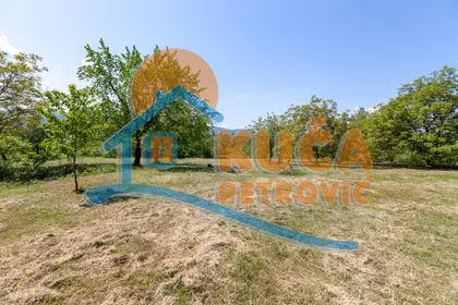 Donje Vlase | 4zida.rs