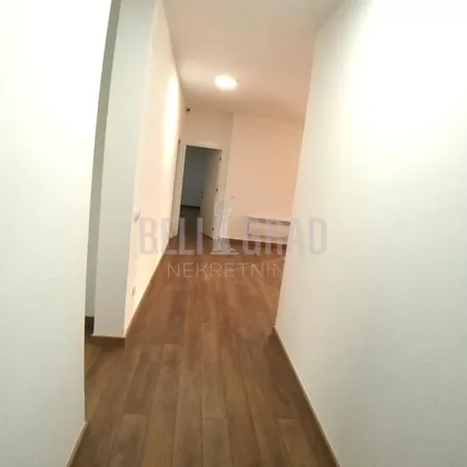 Miće Orlovića | 4zida.rs