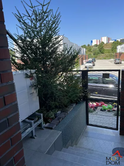 Alibegovac | 4zida.rs