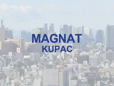 Makiš