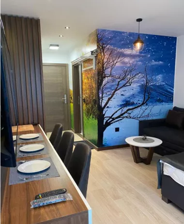 Stefana Prvovenčanog 52