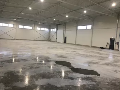 NOVOSADSKI AUTOPUT | 4zida.rs