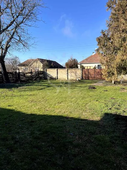 Svetozar Miletić | 4zida.rs