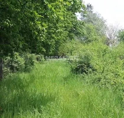 Svetosavska | 4zida.rs