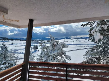 Zlatne Trube | 4zida.rs