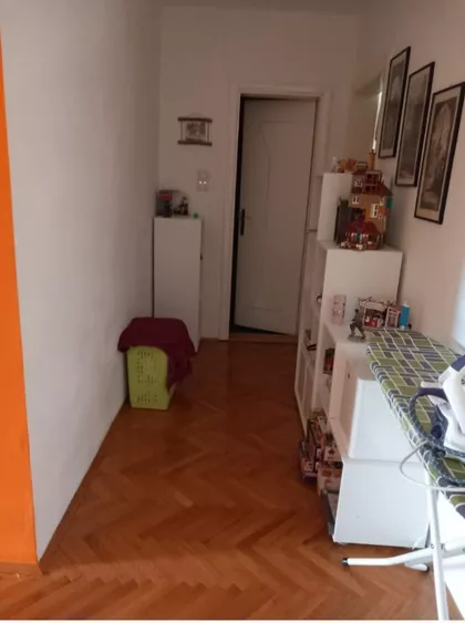 Miše Dimitrijevića | 4zida.rs