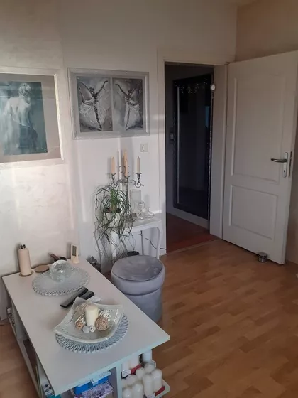 Žike Mesarovića | 4zida.rs