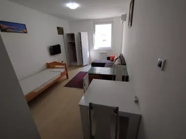 Vase Pelagića