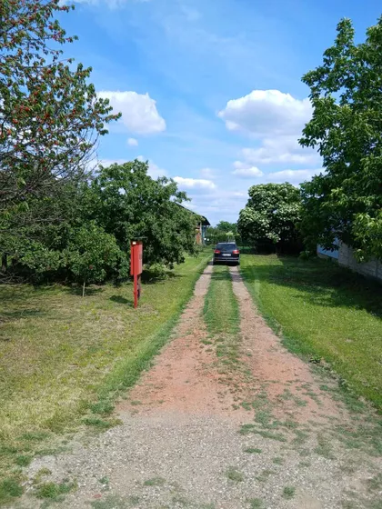 Ruža | 4zida.rs