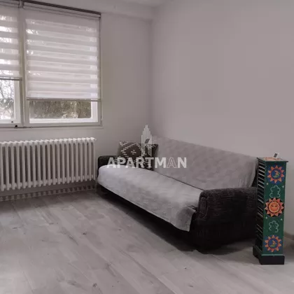 Darinke Radović | 4zida.rs