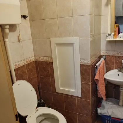 Spasenije Cane Babović | 4zida.rs