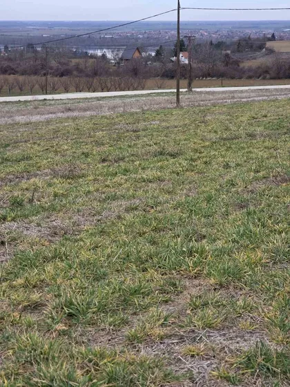 Čerević | 4zida.rs