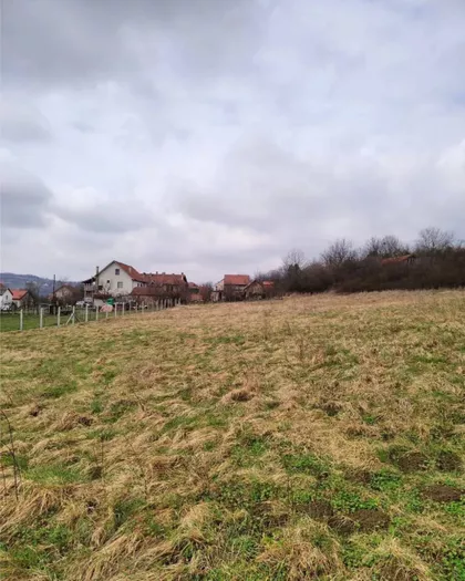 Bore Todorovića | 4zida.rs