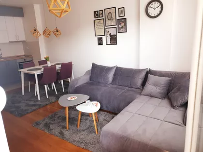 Zmaj Ognjena Vuka 24 | 4zida.rs