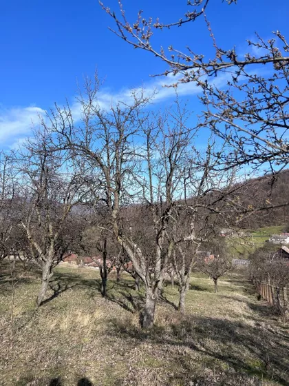 Deligradska | 4zida.rs