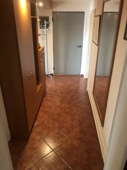 Luja Adamiča | 4zida.rs