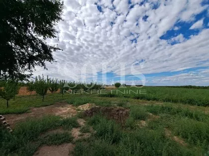 Branka Radičevića | 4zida.rs