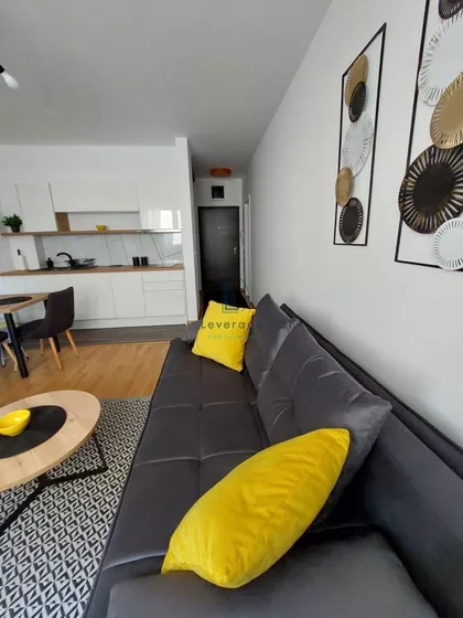 Bože Jankovića | 4zida.rs