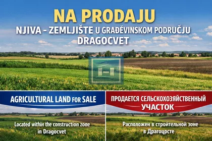 Dragocvet | 4zida.rs