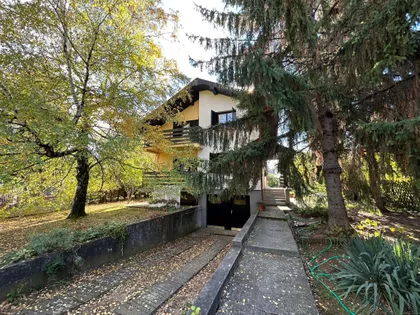 Momira Korunovića | 4zida.rs
