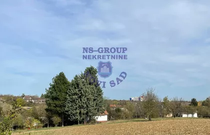 Alibegovac | 4zida.rs