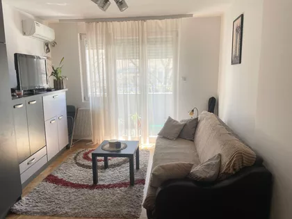 Pasterova | 4zida.rs