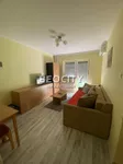 Nova Detelinara, Detelinara, Gradske lokacije, Novi Sad | 4zida.rs | 4zida.rs