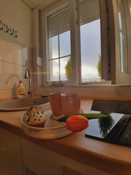 Nemanjina | 4zida.rs