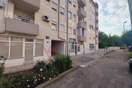 Žarka Vasiljevića | 4zida.rs