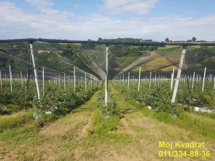 Kujanovac | 4zida.rs