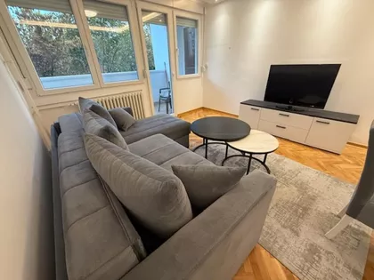 Luja Adamiča | 4zida.rs