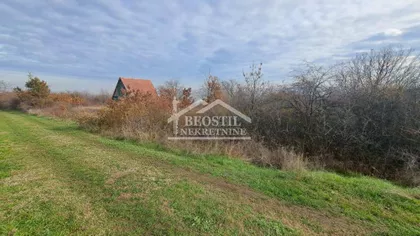 Boška Buhe | 4zida.rs