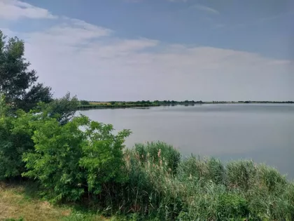 Palić | 4zida.rs