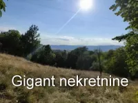 Plac | 4zida