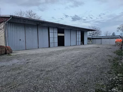 Svetozar Miletić | 4zida.rs