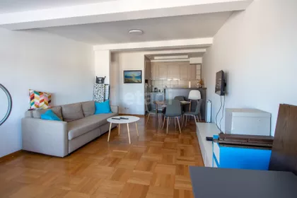 Bulevar Despota Stefana | 4zida.rs