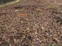 Centar, Gradske lokacije, Pančevo | 4zida.rs