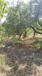 Plac | 4zida