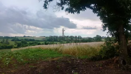 Kosmajski put | 4zida.rs