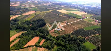 Gornja Trnava | 4zida.rs