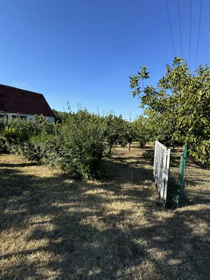 Oblačinsko Jezero | 4zida.rs